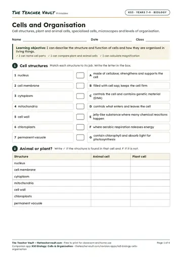 Page 1 of the Cells and Organisation worksheet