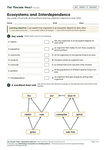 Page 1 of the Ecosystems and Interdependence worksheet