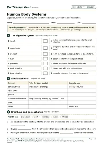 Page 1 of the Human Body Systems worksheet