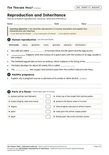 Page 1 of the Reproduction and Inheritance worksheet